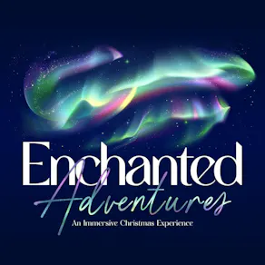 The Enchanted Adventures - Himley Hall Christmas Light Trail