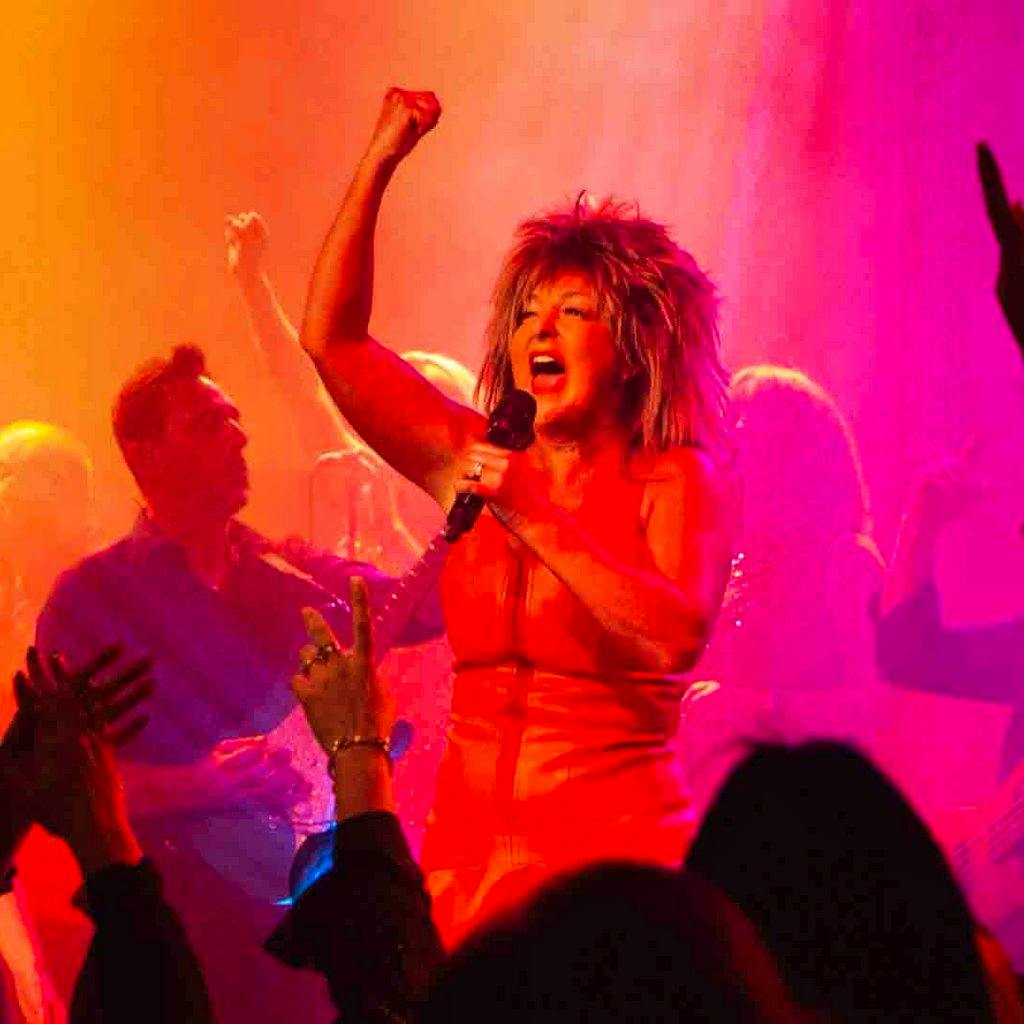 Tina Turner Tribute Night - Sandwich at Baypoint