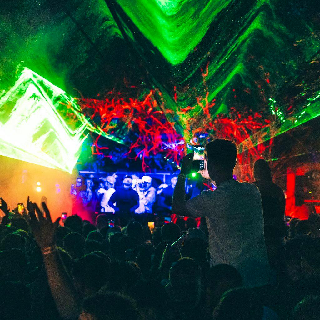 Hifields at The ARK Newmarket