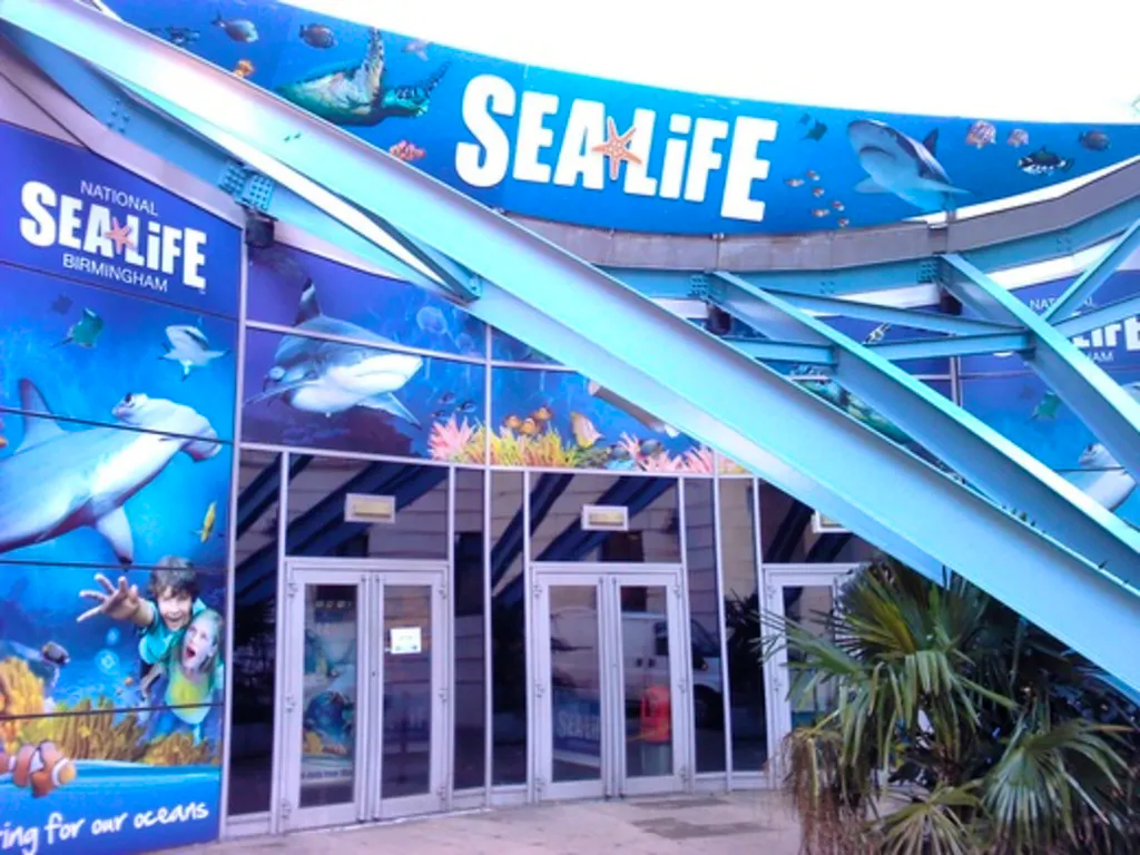 Sea Life Birmingham + Warwick Castle at Sea Life 