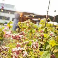 Saturday 23rd May - Closed to the general public at Jacobs Roof Garden