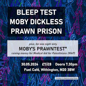 Bleep Test / Moby Dickless / Prawn Prison