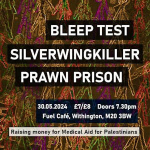 Bleep Test / Silverwingkiller / Prawn Prison