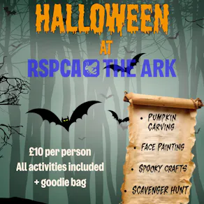 Half Term Halloween at The Ark