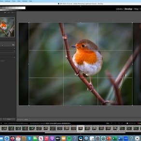 Photography in Nature: Workflow and Review