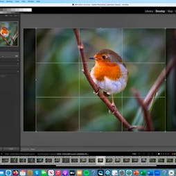 Photography in Nature: Workflow and Review | WWT London Wetland Centre Barnes  | Wed 15th May 2024 Lineup