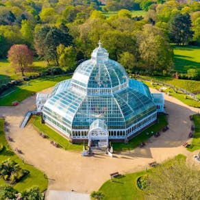 303 Presents The Palm House