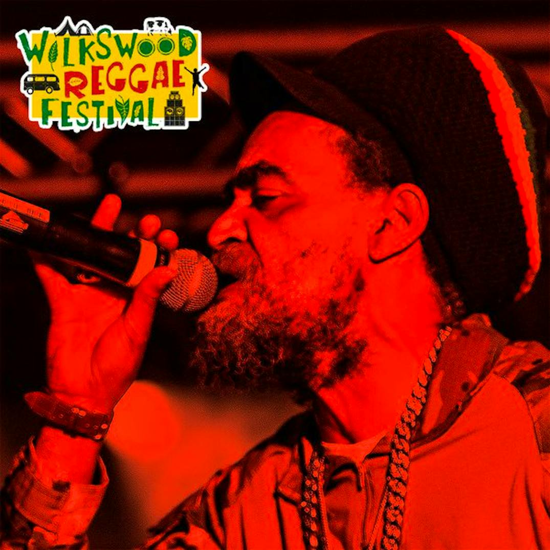 Wilkswood Reggae Festival 2025