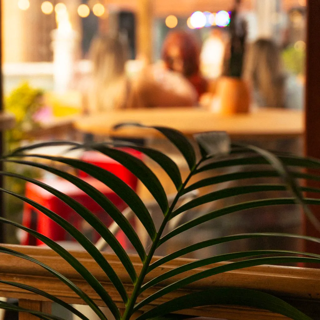 Saturday 6th June - Closed to the general public at Jacobs Roof Garden