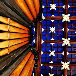 A Splash of Colour Photography Exhibition