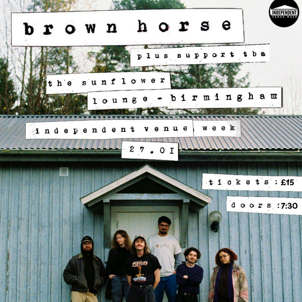 Brown Horse at The Sunflower Lounge