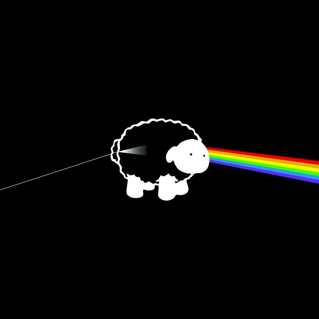 Pinc Ffloyd at The Motorsport Lounge at The Motorsport Lounge