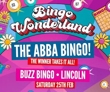 ABBA Bingo Wonderland: Lincoln