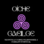 Oíche Gaeilge | Irish Evening at McChuills