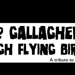 No Gallaghers' High Flying Birds
