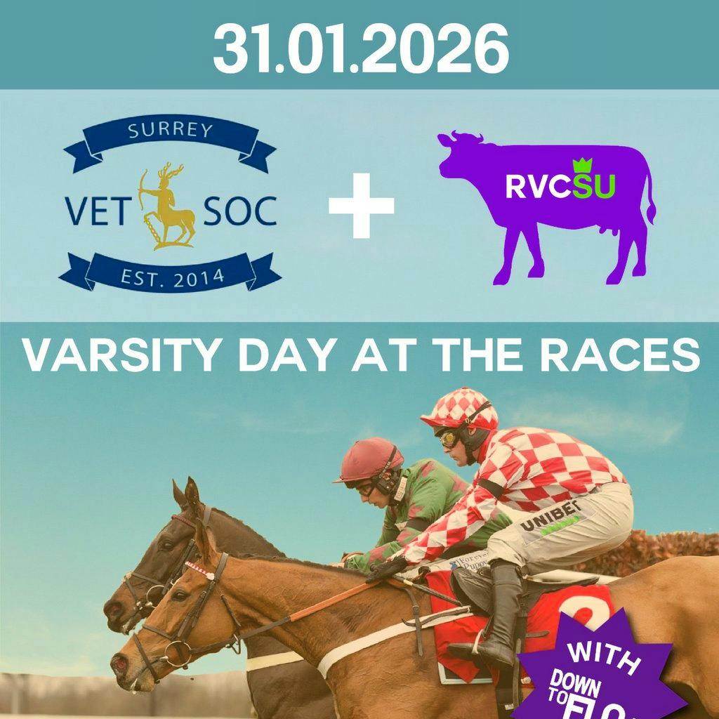 Surrey x RVC - Day out at the Races at Sandown Park Racecourse