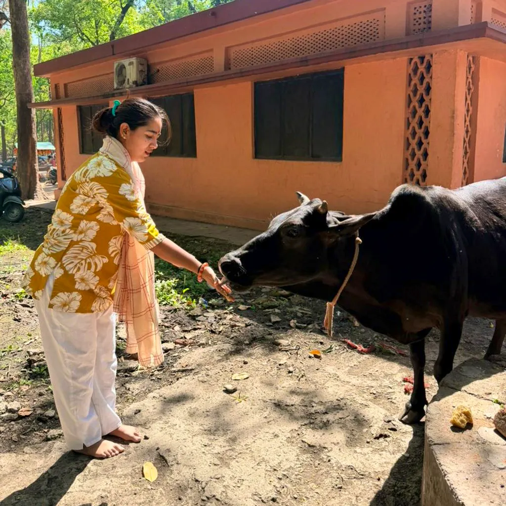 200-Hour Yoga Teacher Training Course in Dehradun at Kunwar Yoga  Mahadev Residency, Old Nehru Colony