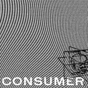 Consumer100