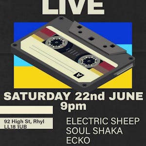 Electric Sheep Inc + Soul Shayka