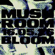 The Mush Room with guest DJ BLOOM at The Menagerie