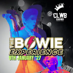 The Bowie Experience