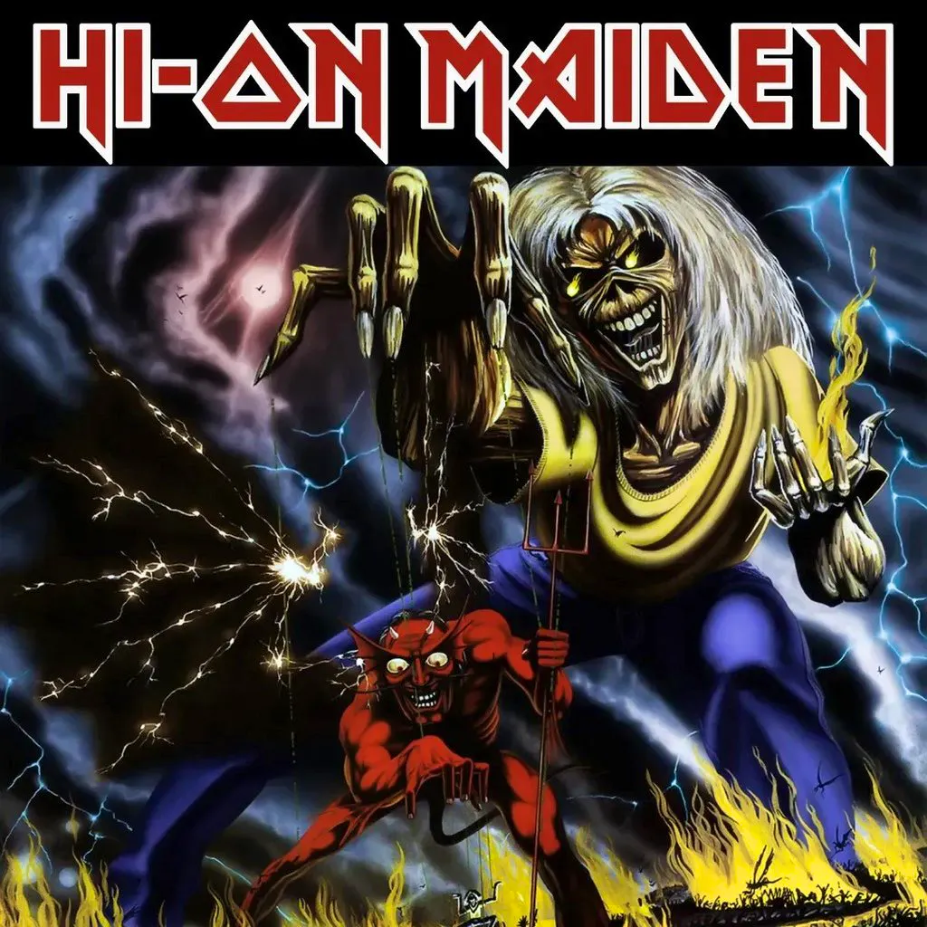 Hi-On Maiden at The Flowerpot