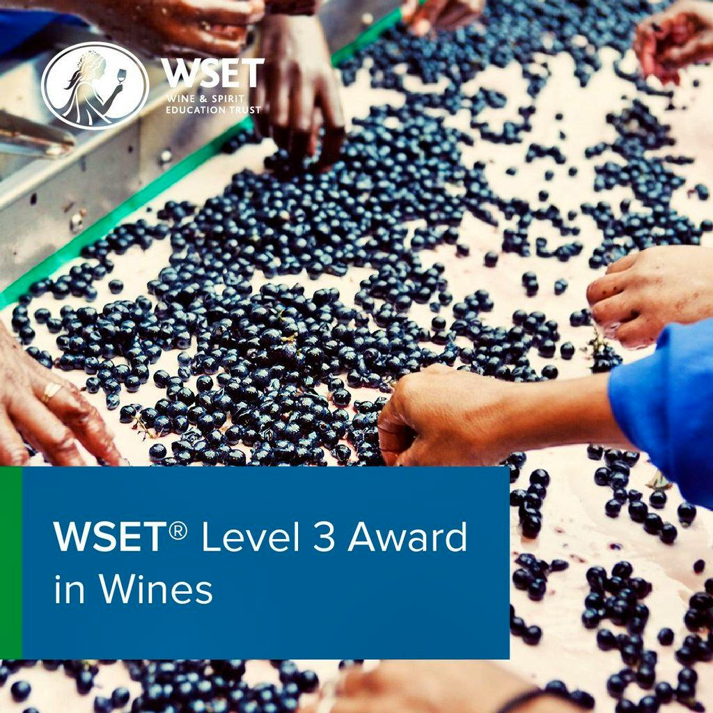 WSET Level 3 Award in Wines at Novotel Reading Centre