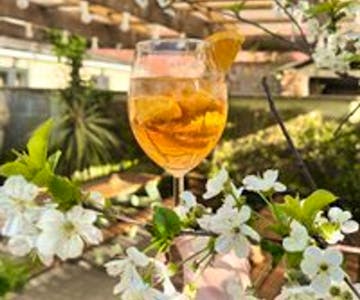 241 cocktails every Wednesday at Paradise Garden