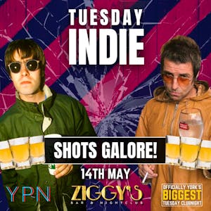 Tuesday Indie at Ziggys SHOTS GALORE 14 May