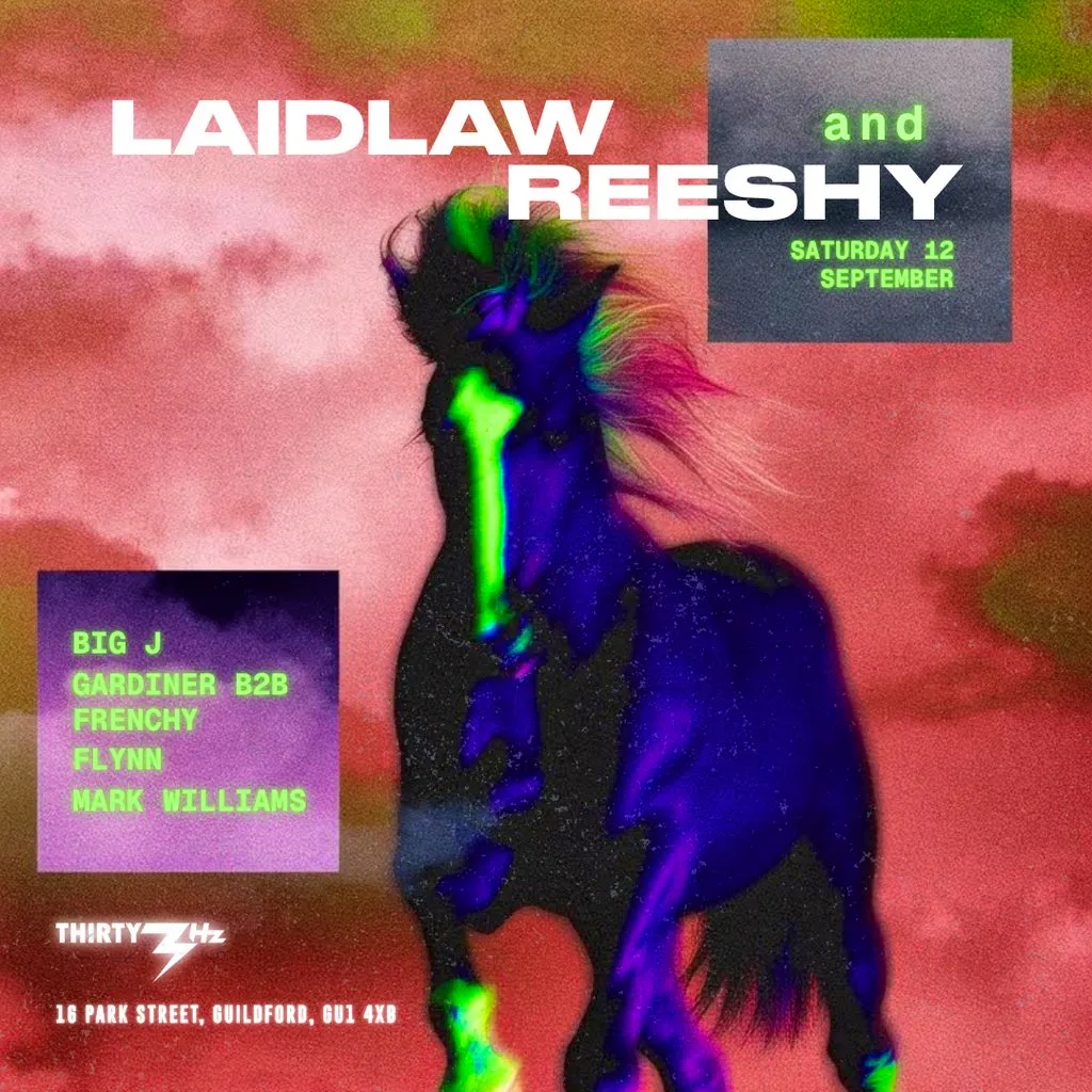 Laidlaw & Reeshy at Thirty3Hz