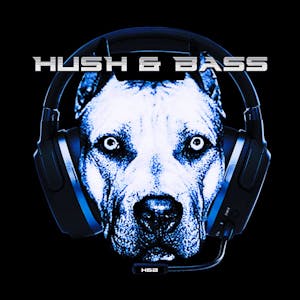 Hush&Bass Presents DJ Giggs