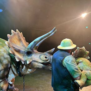Dinosaur Show Live