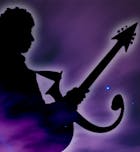 The Music of Prince - New Purple Celebration