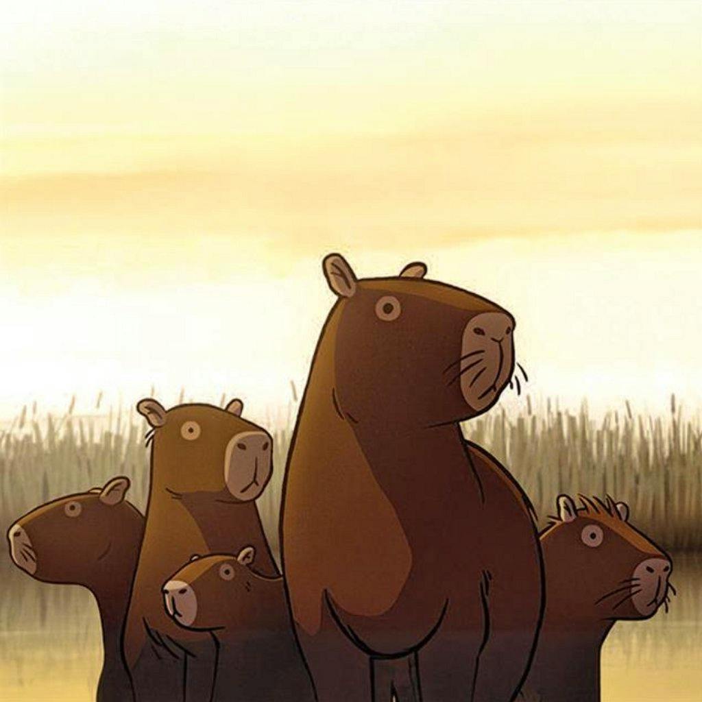 Discovery shorts for wee ones + animation showreel at ETH @Elgin Community Centre