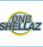 Dnb Shellaz Meets Skankers 