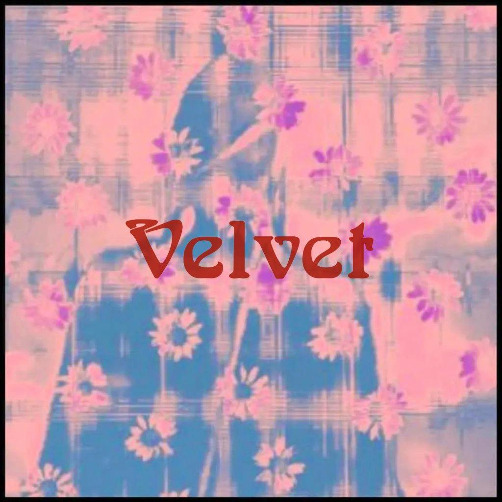 VELVET live at the Lincoln Labour club at Lincoln Labour Club And Institute Ltd