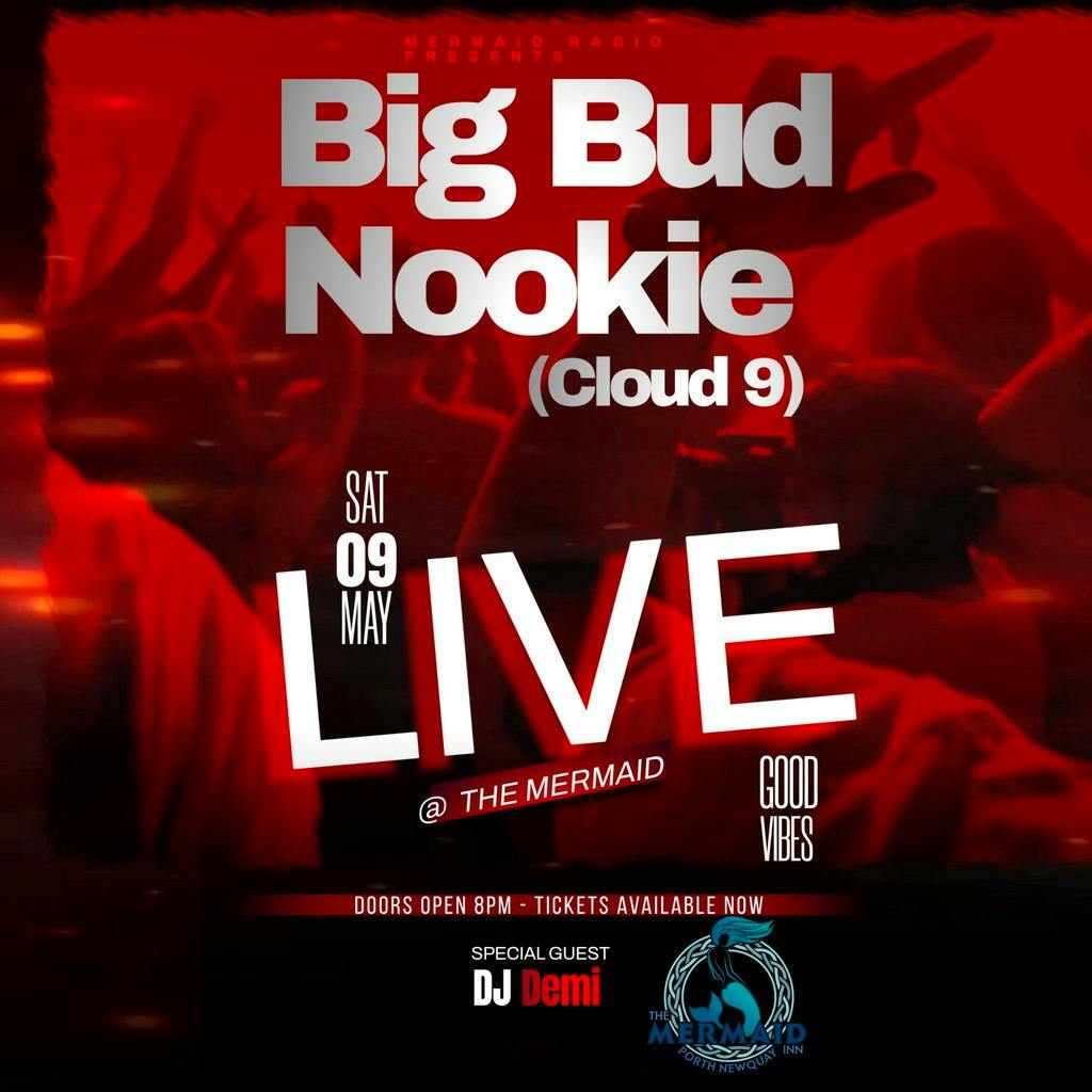 Big Bud & Nookie (Cloud 9) LIVE at The Mermaid Inn
