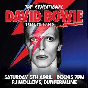 The Sensational David Bowie Tribute Band