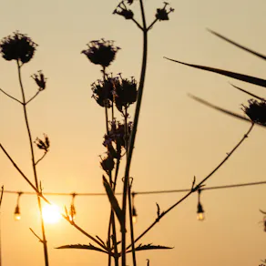 Saturday 16th May - Closed to the general public