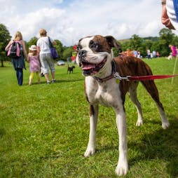 Happy Tails Dog Show 2022 Tickets | Reinwood Recreational Grounds Huddersfield  | Sat 3rd September 2022 Lineup