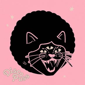 DISCO PUSS: "Back In The Pink"