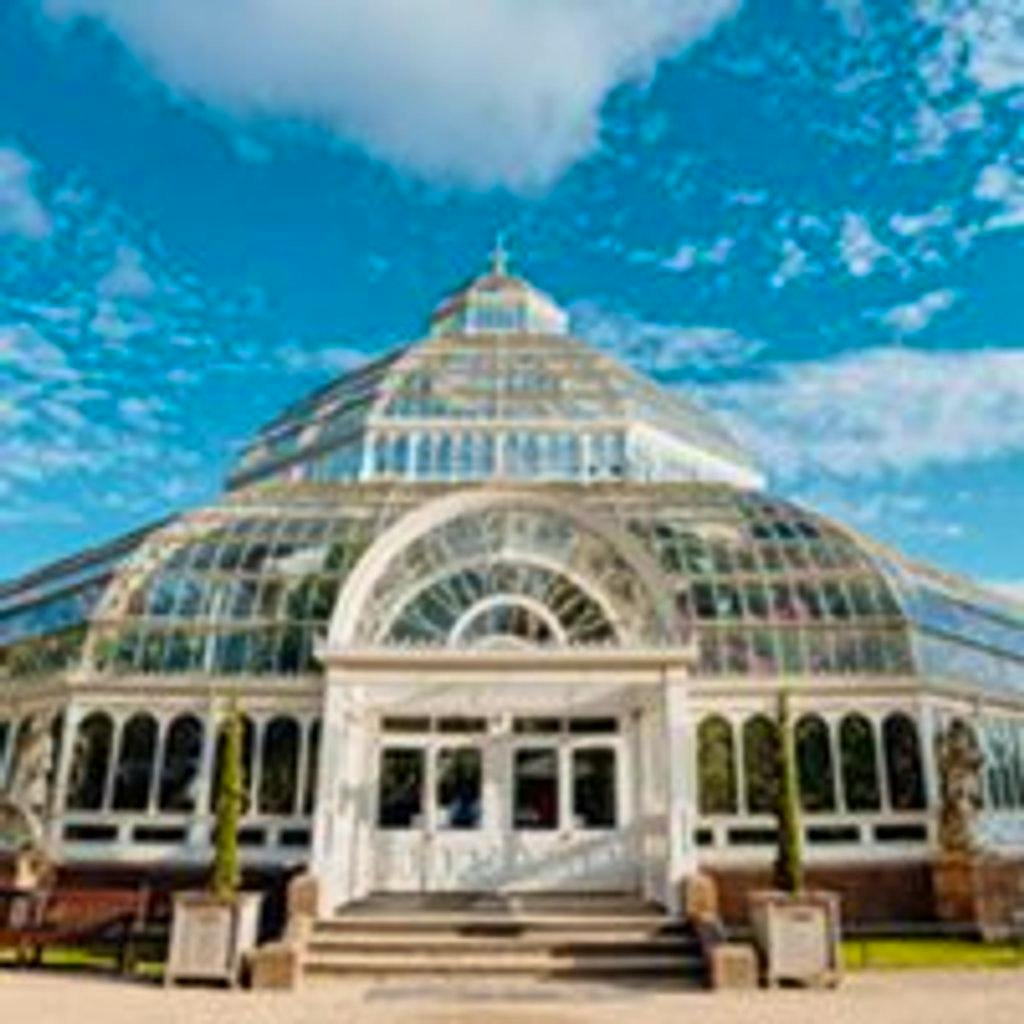 An evening with K-Klass in Sefton Park Palm House at Palm House Sefton Park