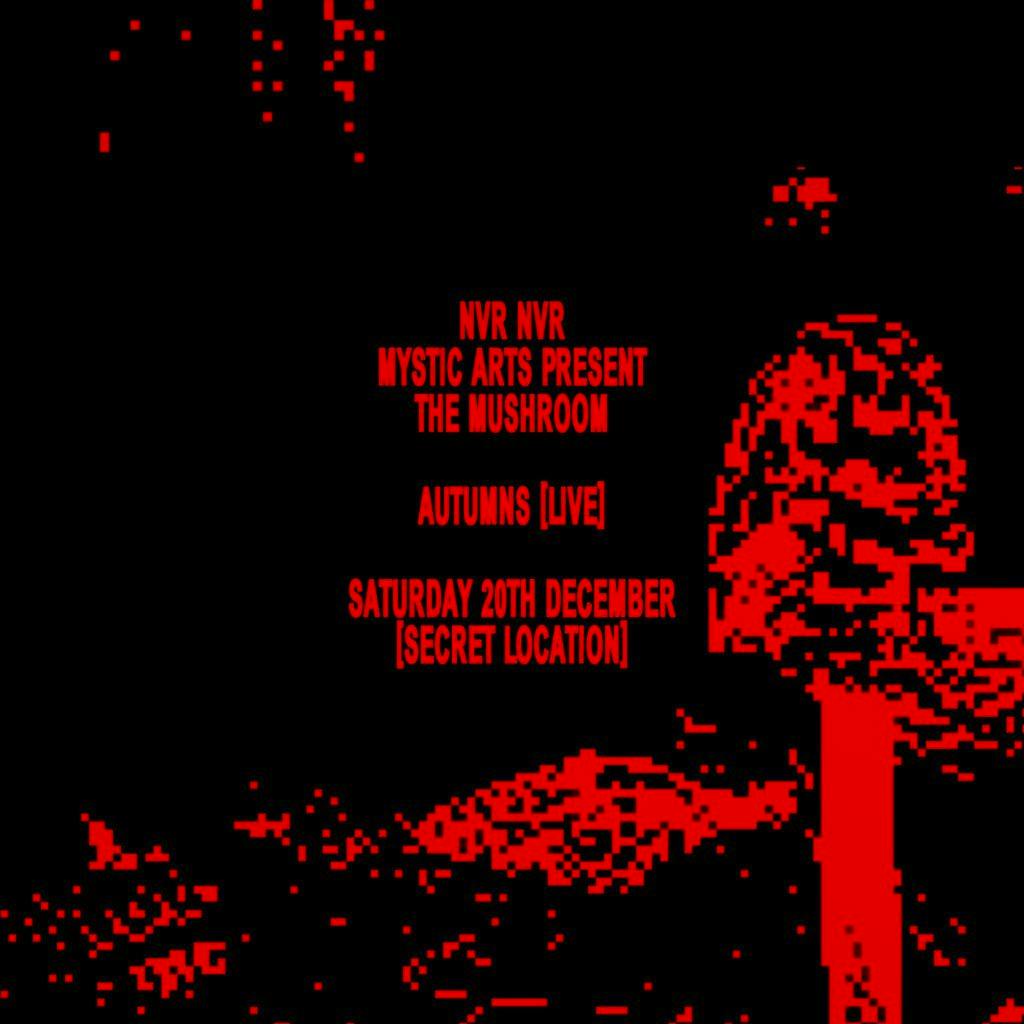 Never Never & Mystic Arts - The Mush Room presents Autumns at ***Secret Location***