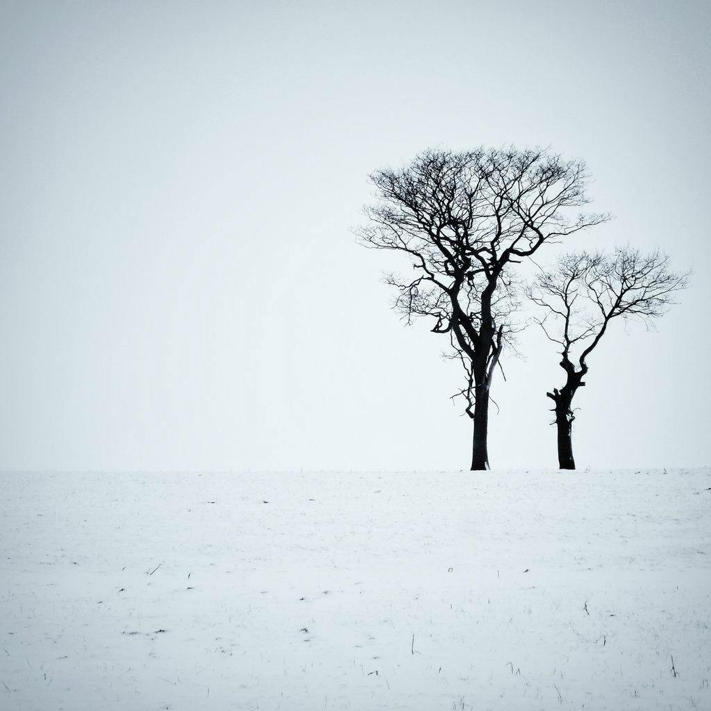 Monochrome Photography Exhibition at Milgate House