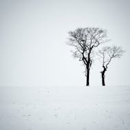 Monochrome Photography Exhibition at Milgate House