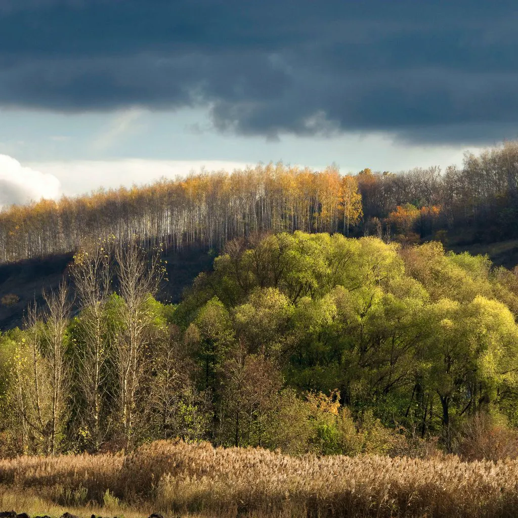A Splash of Colour Photography Exhibition at Bedford House (New)