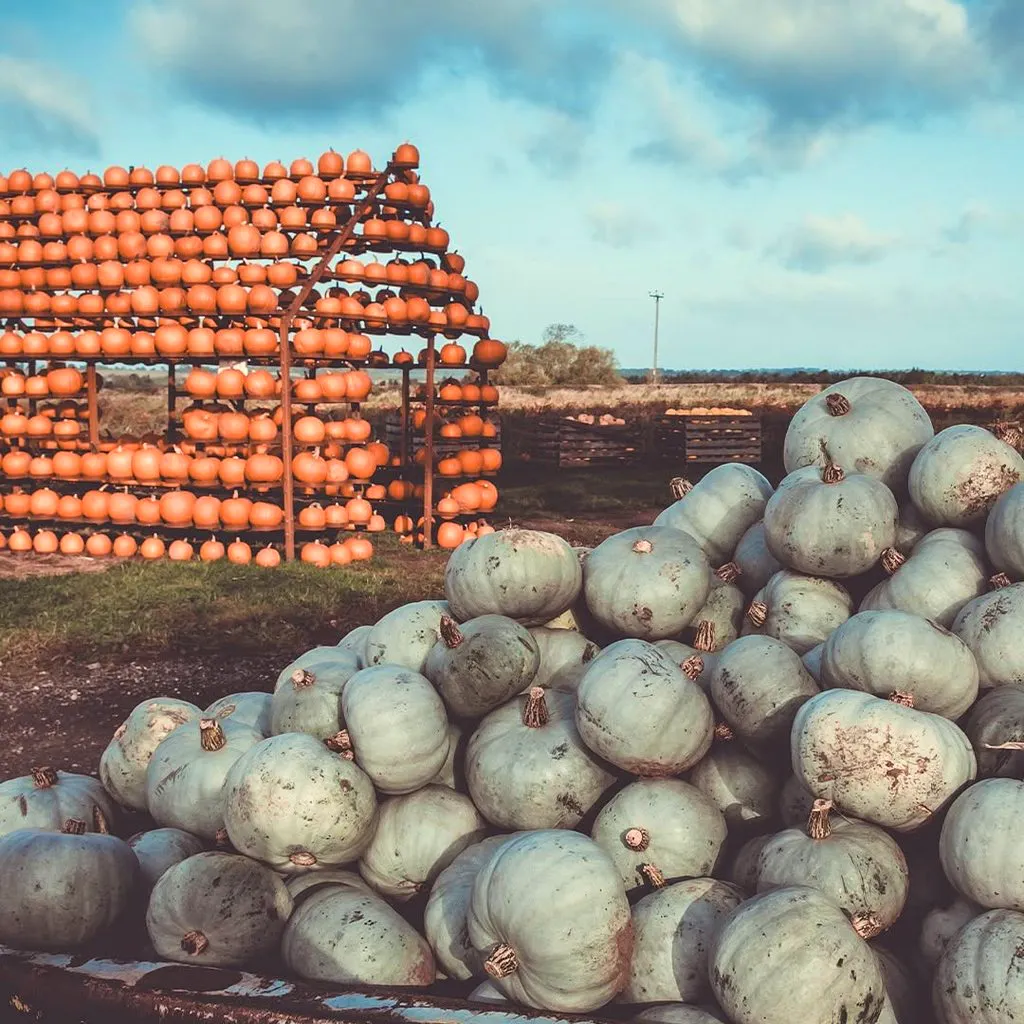 Halloween Farm at Cattows Farm
