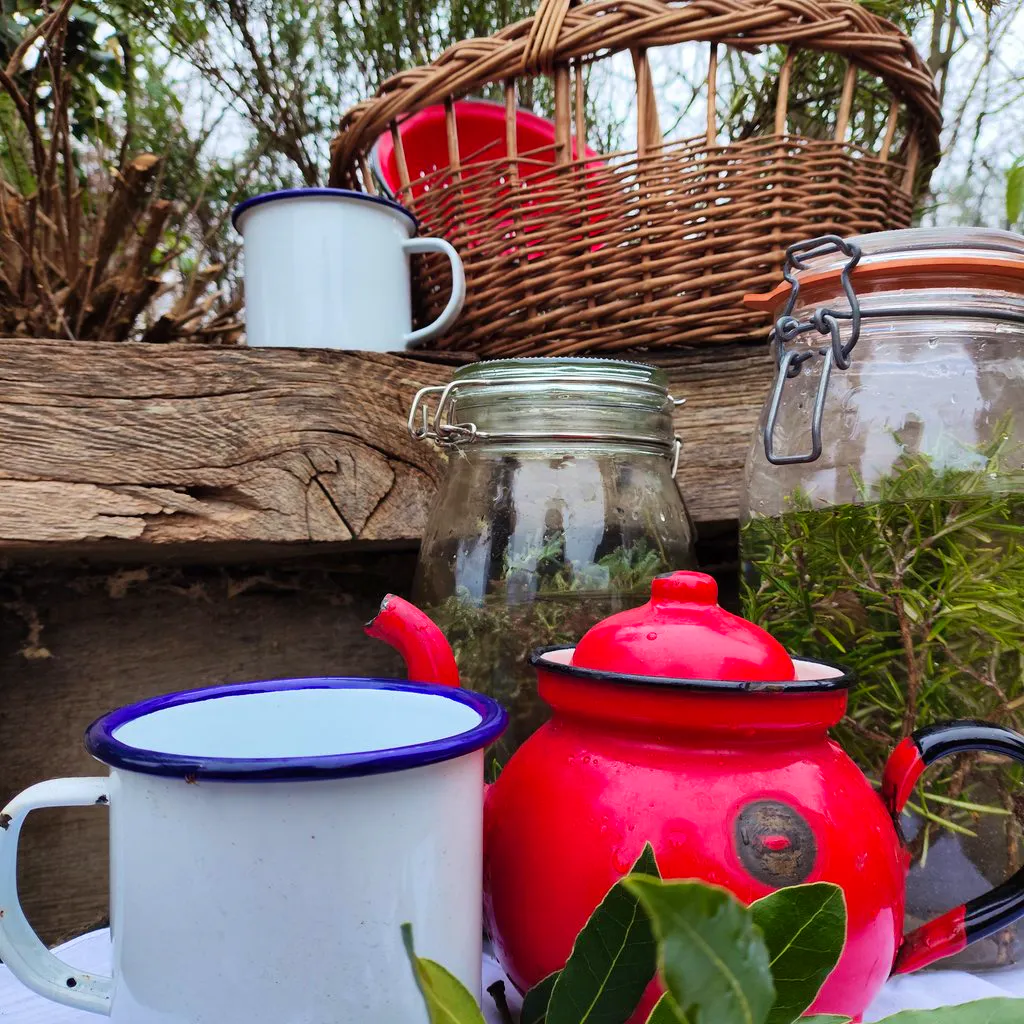 Wetland Wellbeing Workshop - Herbs and Teas at WWT London Wetland Centre