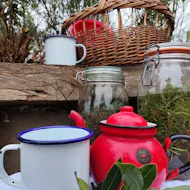 Wetland Wellbeing Workshop - Herbs and Teas at WWT London Wetland Centre