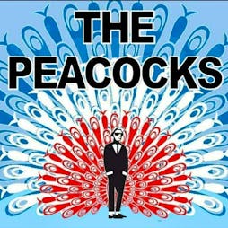 The Peacocks Live Tickets | Tickles Music Hall  Bradford  | Sat 27th April 2024 Lineup